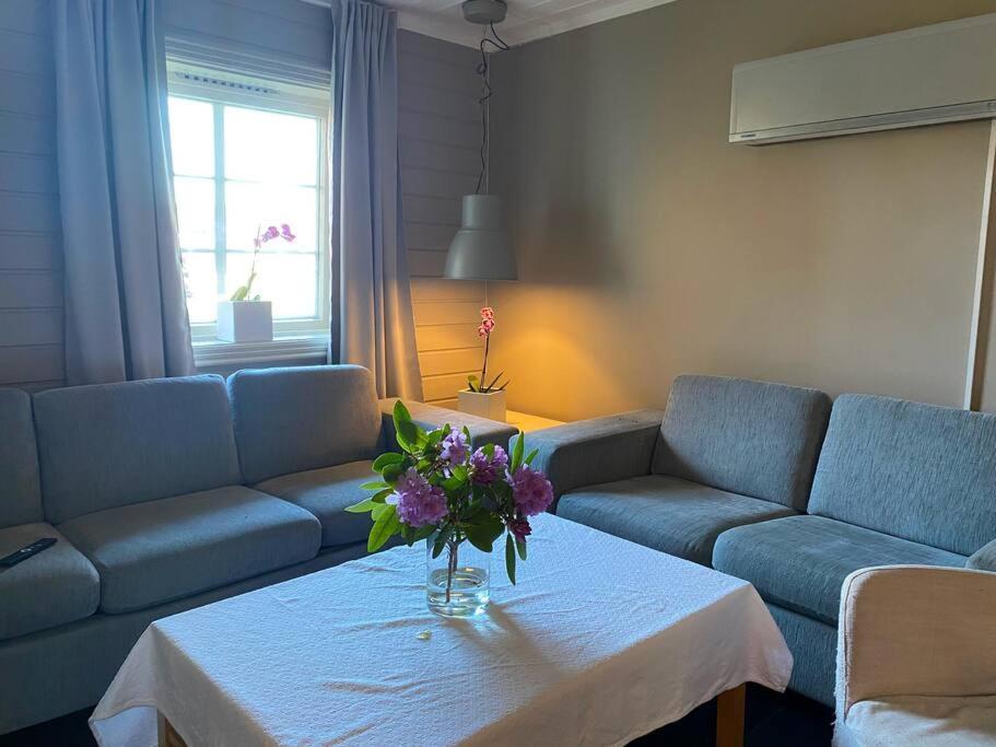 Cosy And Well-Equipped Apartment With Free Parking Trondheim Exterior photo