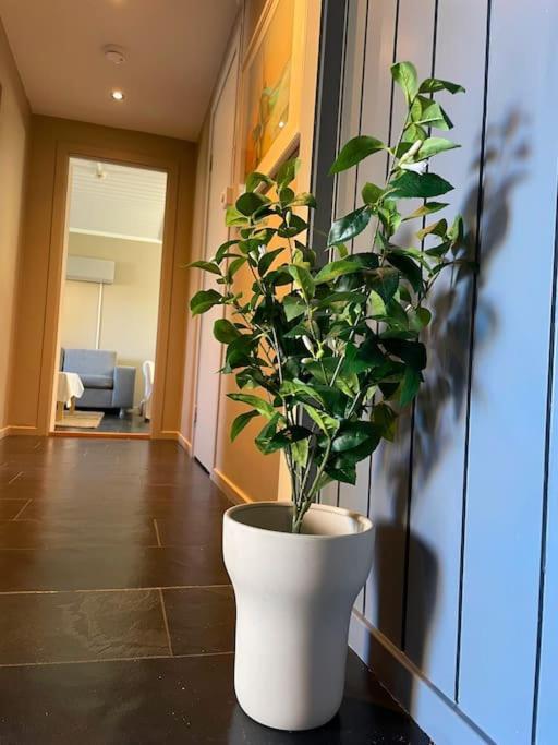 Cosy And Well-Equipped Apartment With Free Parking Trondheim Exterior photo